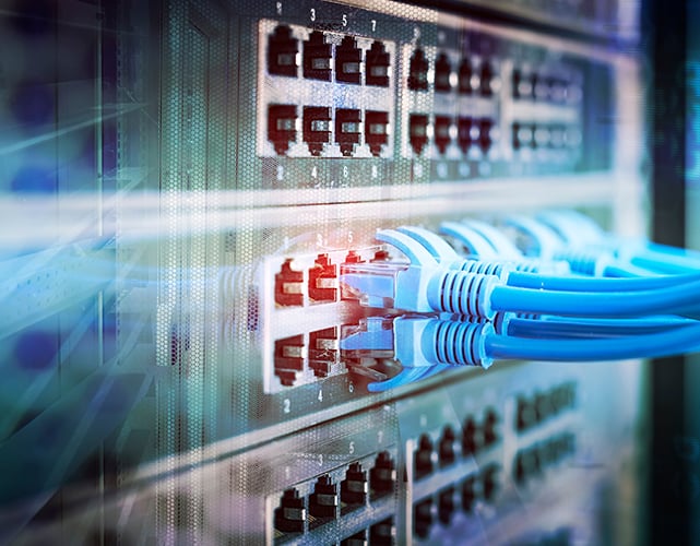 여러 개의 파란색 cat-6 케이블이 연결된 네트워크 스위치 후면