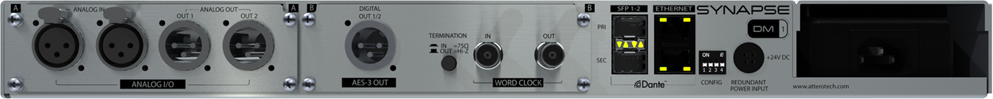 Synapse DM1 - 후면 이미지